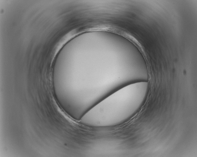 X0000072951487200607210920