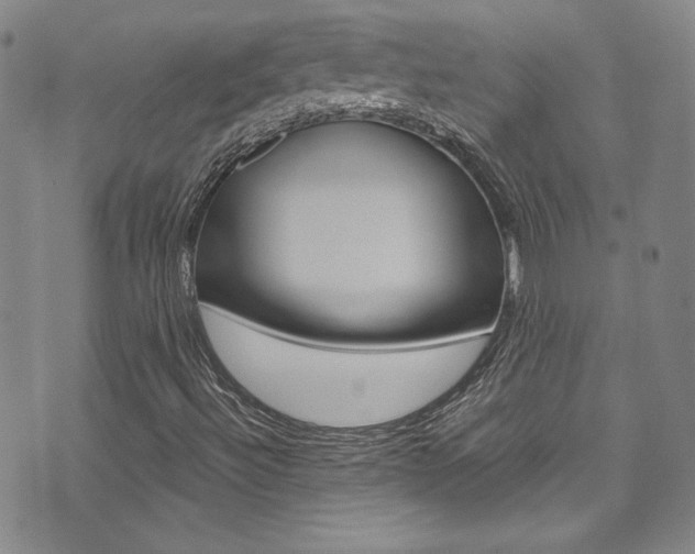 X0000072951492200607210919