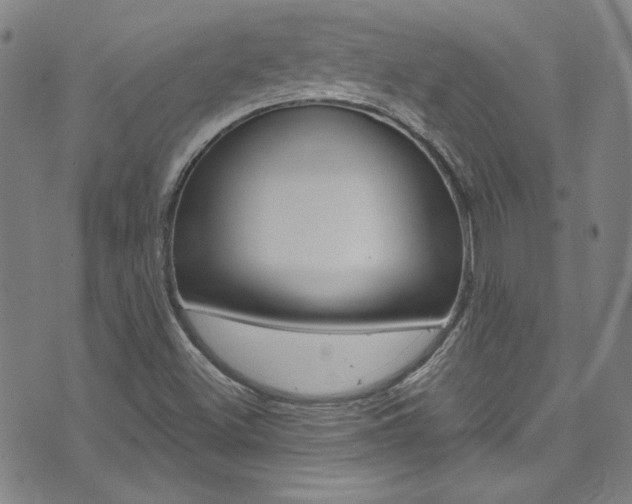 X0000072951500200607210919