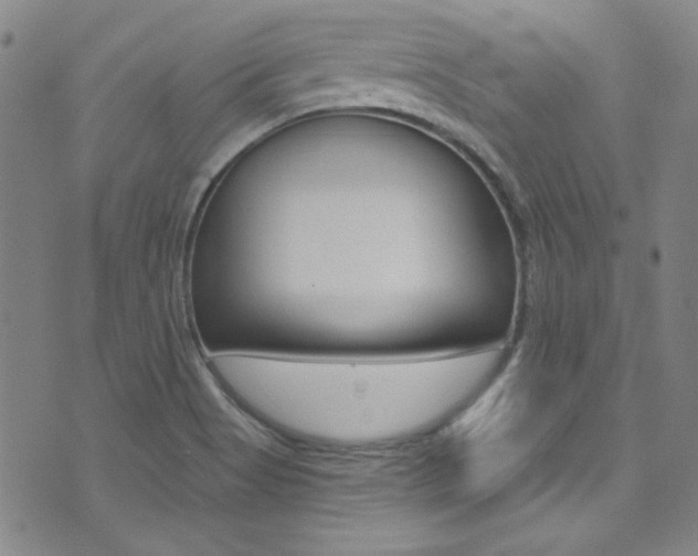 X0000072951513200607210919