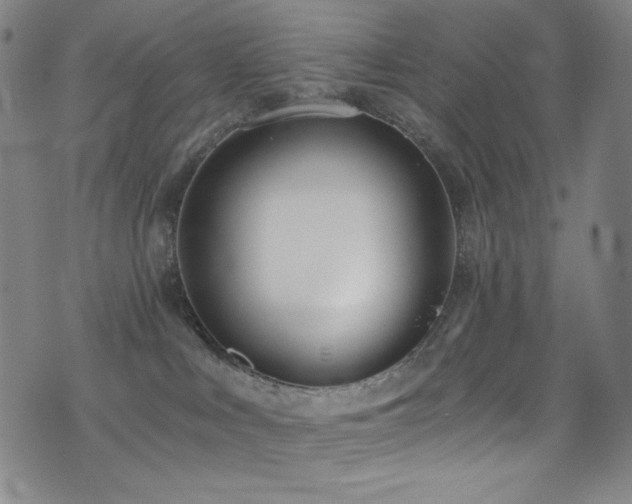 X0000072950043200607211138