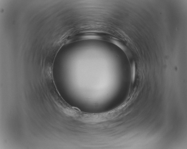 X0000072950045200607211138