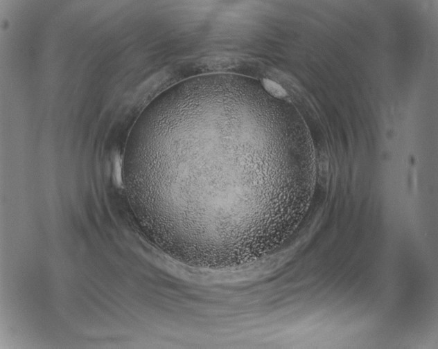 X0000072950046200607211138