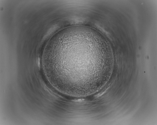 X0000072950067200607211137