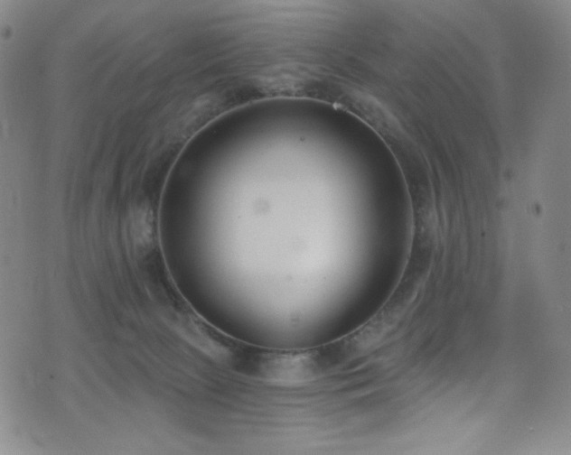 X0000072950081200607211137