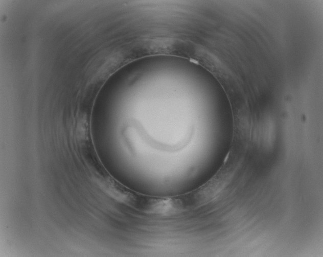 X0000072950083200607211138