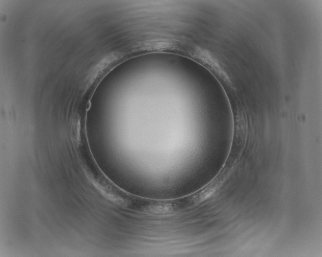 X0000072950110200607211137