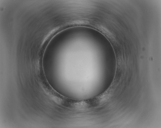 X0000072950112200607211137