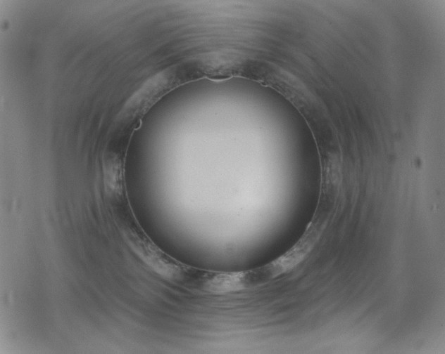 X0000072950138200607211136