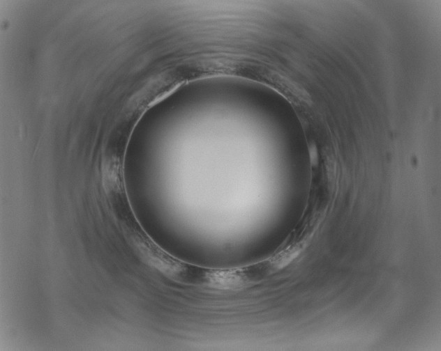 X0000072950141200607211136