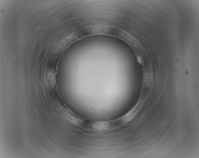 X0000072950142200607211136