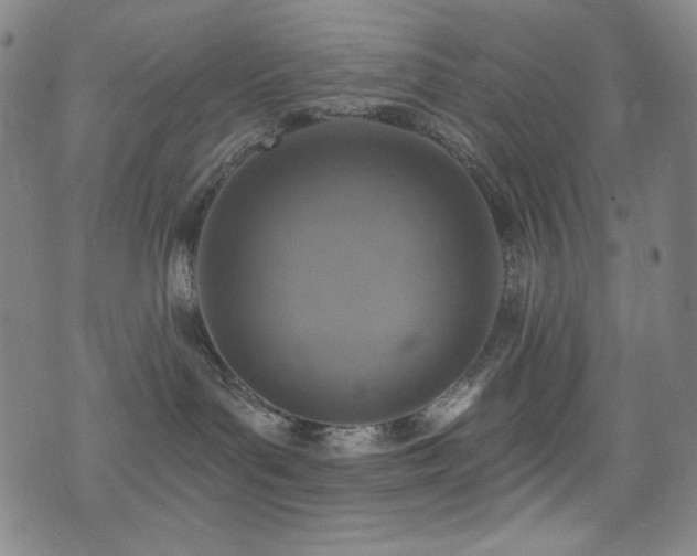 X0000072950143200607211136