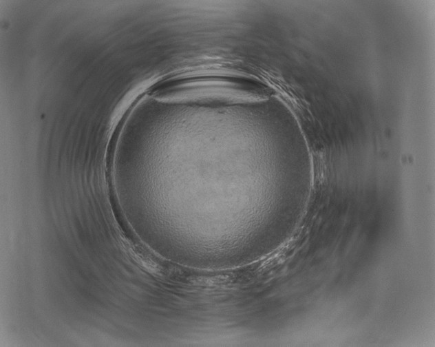 X0000072950147200607211135