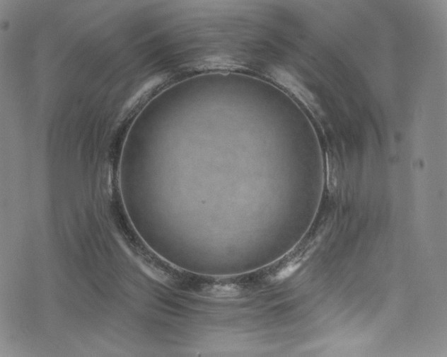 X0000072950157200607211136