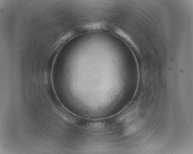 X0000072950161200607211136