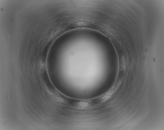 X0000072950176200607211136