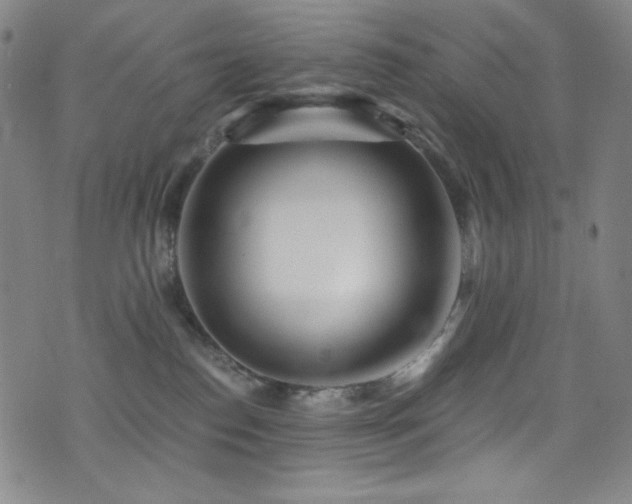 X0000072950186200607211136