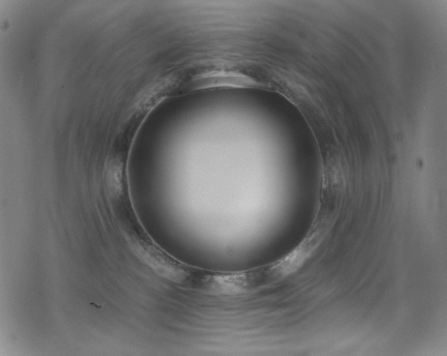 X0000072950188200607211136