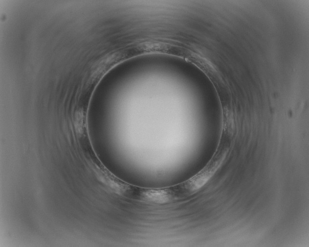 X0000072950189200607211136