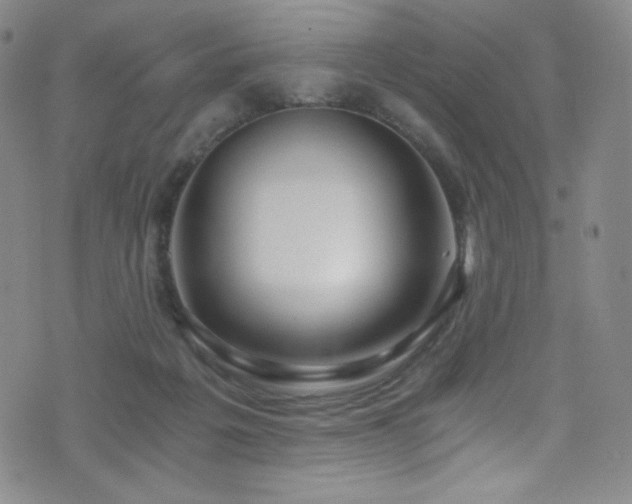 X0000072950217200607211135