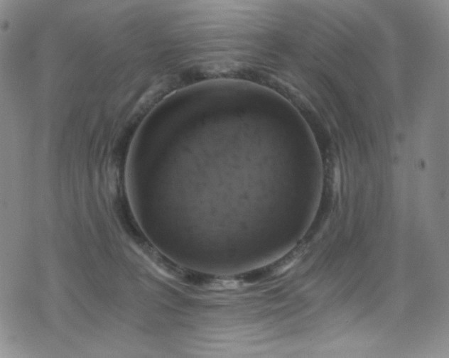 X0000072950227200607211135