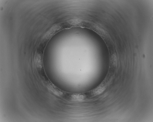 X0000072950234200607211135