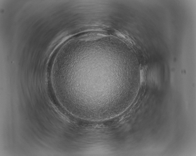 X0000072950243200607211134