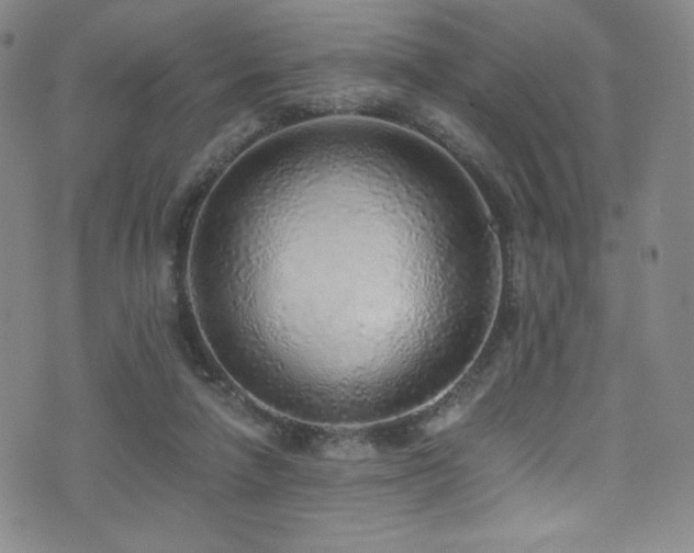 X0000072950258200607211134