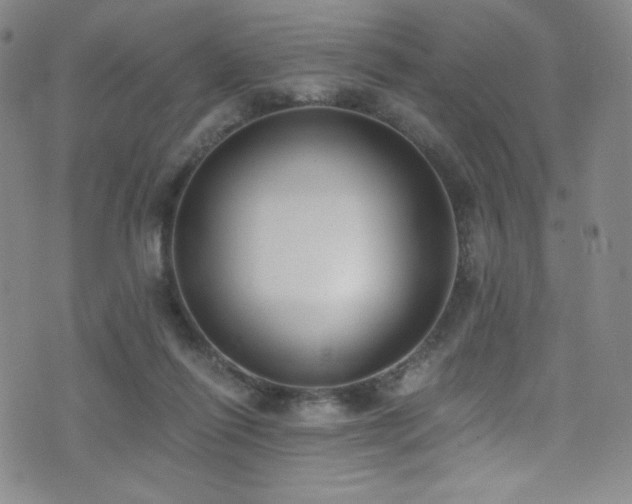 X0000072950262200607211134