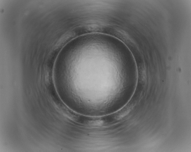 X0000072950266200607211134