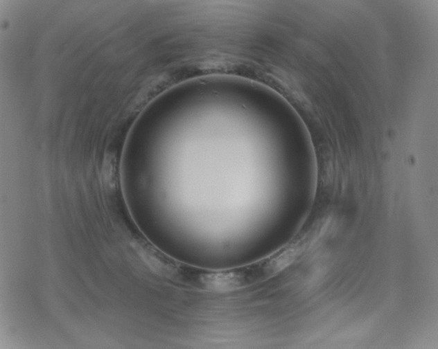 X0000072950273200607211134