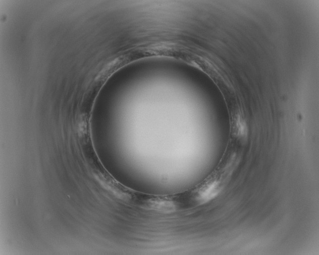 X0000072950284200607211135