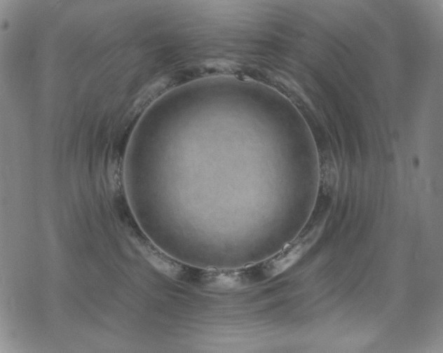 X0000072950285200607211135