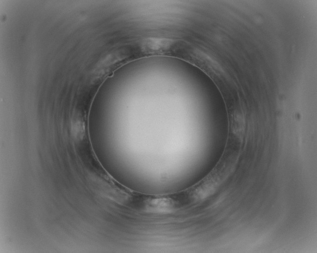 X0000072950324200607211133