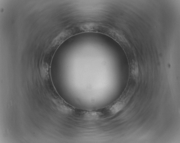 X0000072950332200607211133