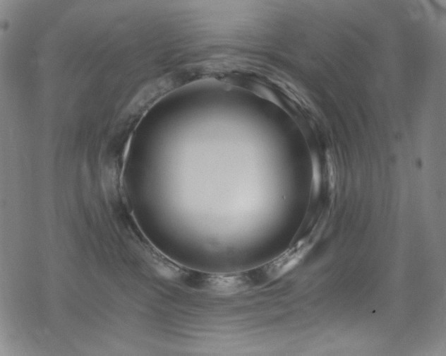 X0000072950333200607211133