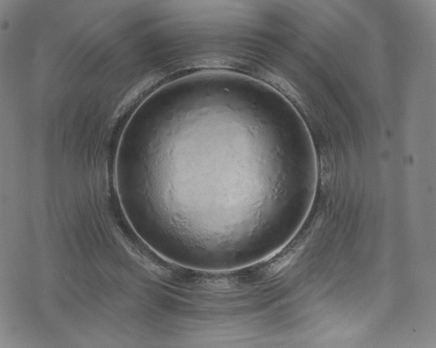 X0000072950349200607211132