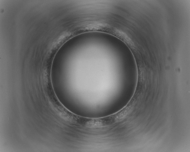 X0000072950354200607211132