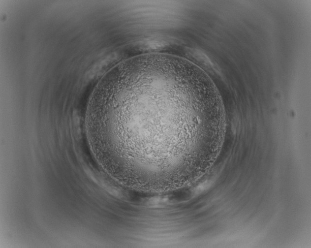 X0000072950366200607211133