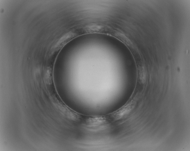 X0000072950378200607211133