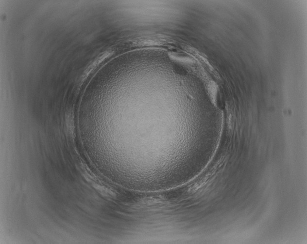 X0000072950386200607211132