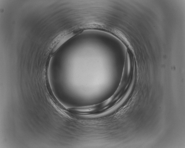 X0000072950389200607211132