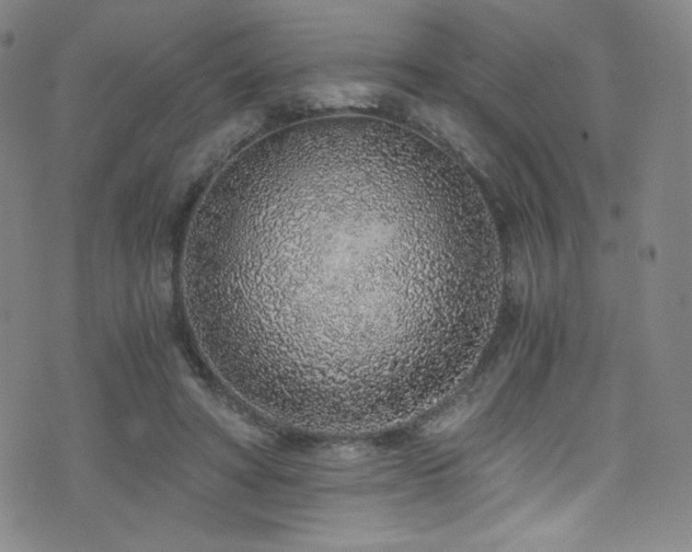 X0000072950402200607211132
