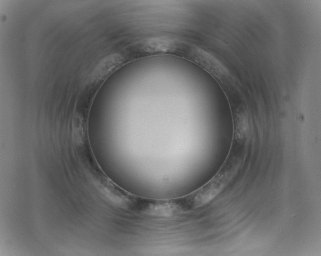 X0000072950414200607211132