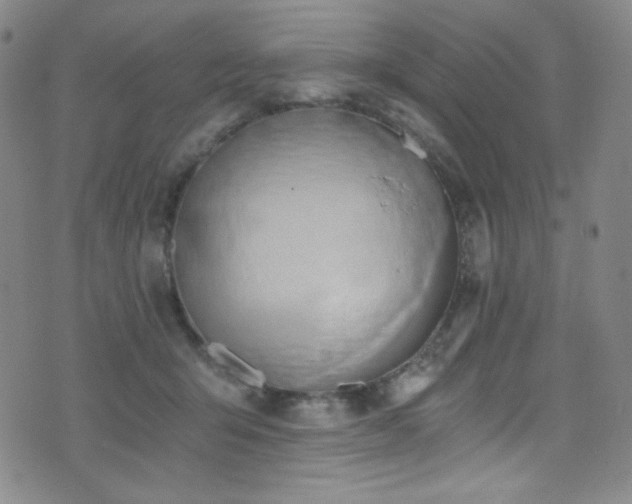 X0000072950415200607211132