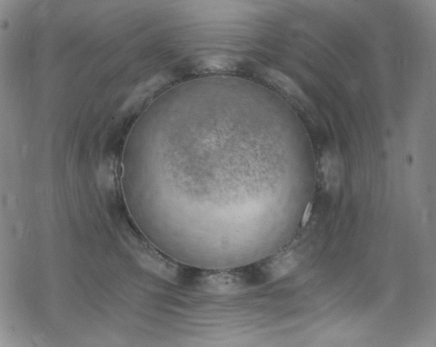X0000072950423200607211132