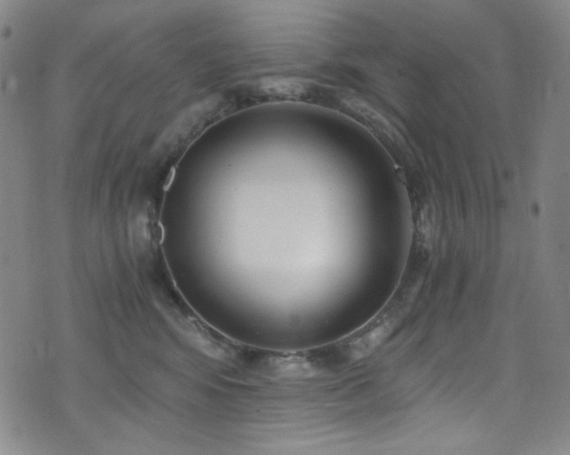 X0000072950424200607211131