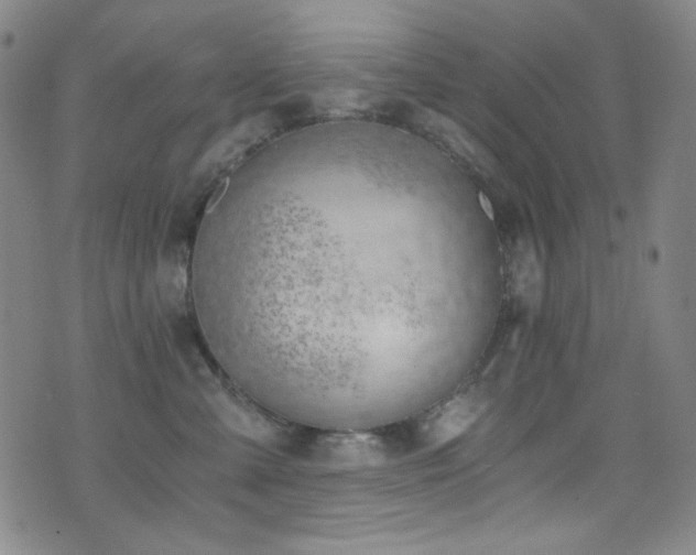 X0000072950427200607211131