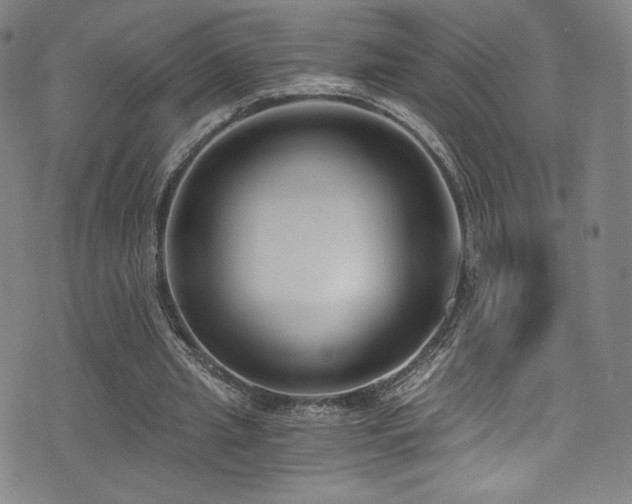 X0000072950437200607211131