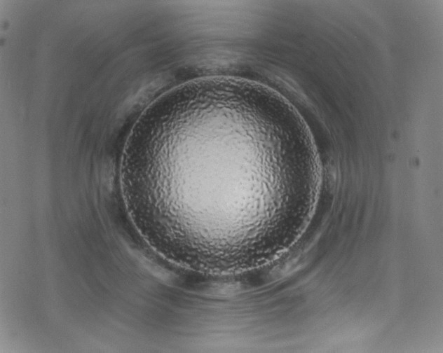X0000072950458200607211131